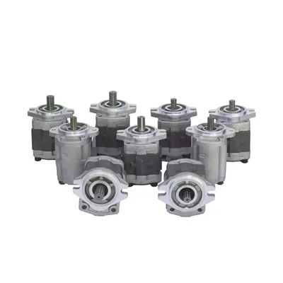 Zahnradpumpe für die Ölübertragung